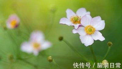 为什么说属兔人是最好的恋人 属兔恋人的最大优点