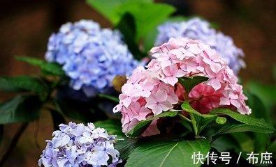 为什么说破相就有贵人 破相就一定不好吗