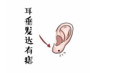 为什么说耳垂大的人有福 耳垂大的人命运怎样