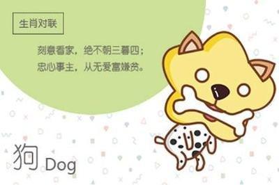 82年属狗的生肖婚配表 82年属狗人跟谁很配