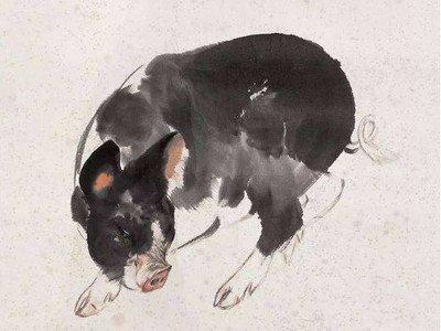 83女猪2025运势幸运色 什么颜色对有利发展