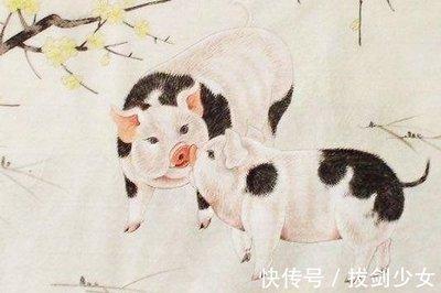 83年属猪人在哪一年行大运 在2025年运势怎样