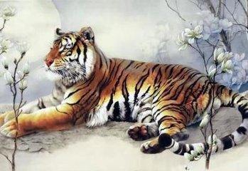 为何属虎的人在2025年中有着出色的事业运