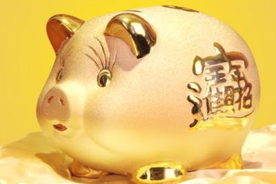 2025蛇年生肖猪财富运势提升方法