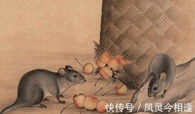 84年出生的人在2025年中如何提升桃花运