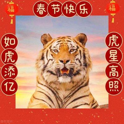 2025蛇年生肖虎财富运势提升方法