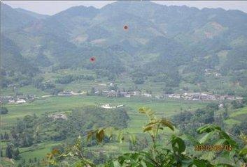 为何说祖坟风水影响几代人影响到底有多大