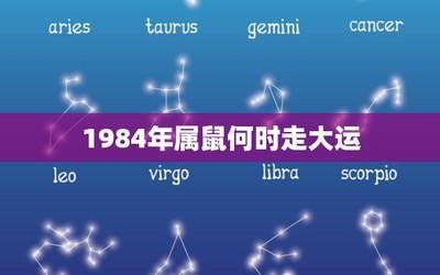 84年出生的人有着怎样的2025年感情运势变化