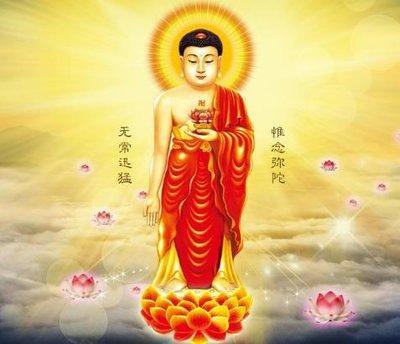 84年属鼠人36岁后会转运吗 运势会有什么变化