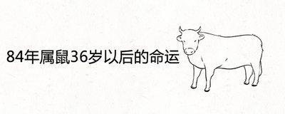 84年属鼠人36岁后会转运吗 运势会有什么变化