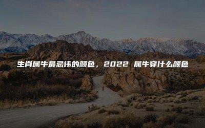 为你盘点属牛人最忌讳的事情  生活中要注意避开