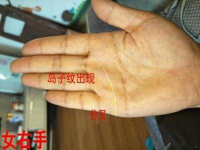 85年出生的生肖牛有着怎样的情感婚姻运势