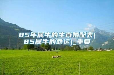 85年属牛的爱情和婚姻 能否找到属于自己的幸福