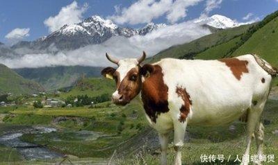 85年牛哪年转大运 85年属牛的人哪一年大灾 85年牛哪年转大运 85年属牛的人哪一年大灾