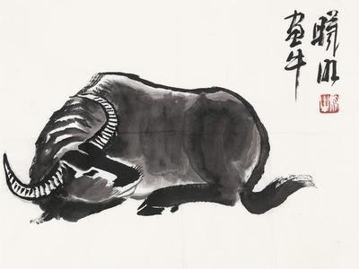 85年牛哪年转大运 85年属牛的人哪一年大灾 85年牛哪年转大运 85年属牛的人哪一年大灾