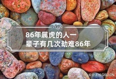 86属虎一生三大坎 86年属虎的劫难