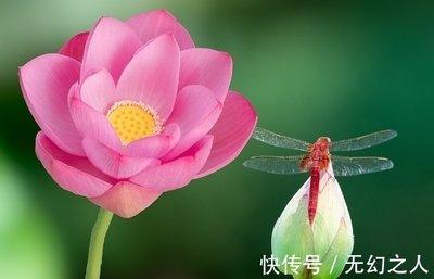 86年出生的人在2025年中桃花运是否旺盛