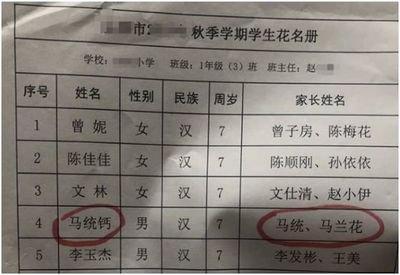 为姓马的孩子选择哪种类型的名字最为合适