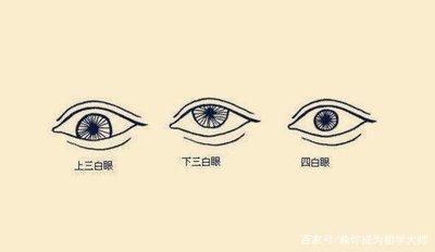 三白眼的女人面相分析 三白眼面相的女人性格怎样 三白眼的女人面相分析 三白眼面相的女人性格怎样
