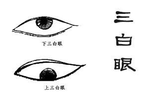 三白眼的面相解读 三白眼面相好吗