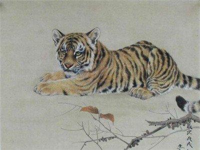 86年属虎的属相婚配表 86年属虎的的人命运