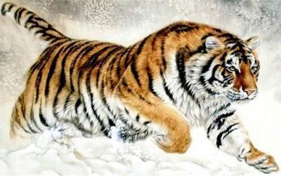 86年苦命虎的第一贵人 86年虎的贵人属相