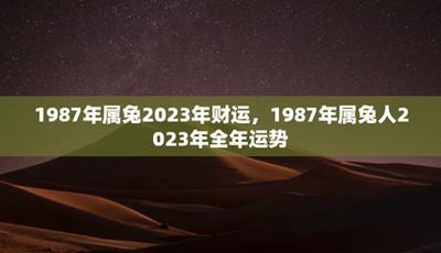 87年出生的人是否会在2025年中事业有成