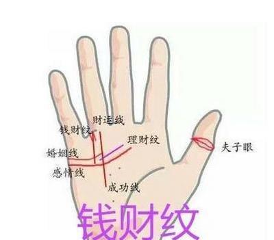 三种天生富贵命的手相 手相如何的人能富贵