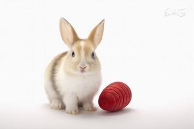 87年属兔何时走大运 1987年兔的大运时间