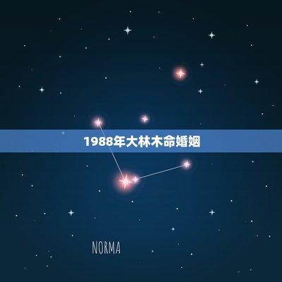 88年属龙男的恋爱婚姻 感情方面会有好的发展吗