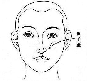 三种最好的鼻子面相 哪几种鼻子面相好