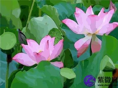 之前事事不顺的3大生肖，运气背如何转运