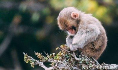 8月顺利赶走霉运的生肖 他们在生活中会好事连连