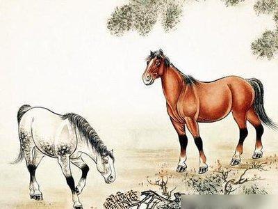 90年属马人一生会有什么样发展  他们的命好吗