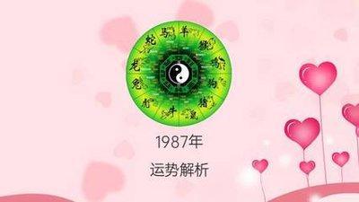 91年出生的人什么命在2025年运程分析