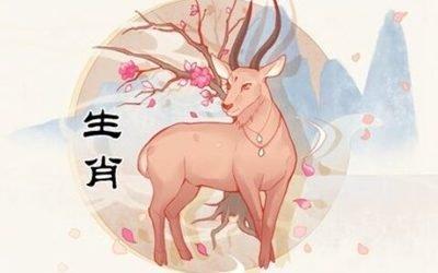 91年男属羊的和什么属相最配 属羊男与哪些生肖配