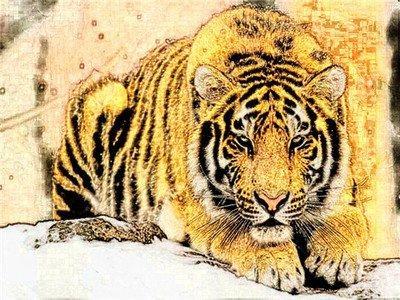 10年属虎12岁本命年生日送什么好
