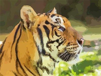 10年属虎12岁本命年生日送什么好