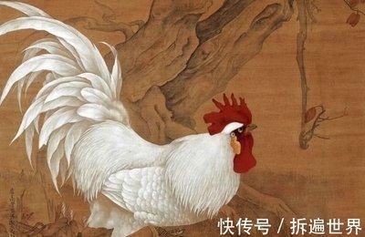2025年农历九月生肖鸡运势详解