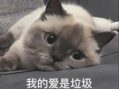 什么星座最不听话 哪些星座的人不听劝