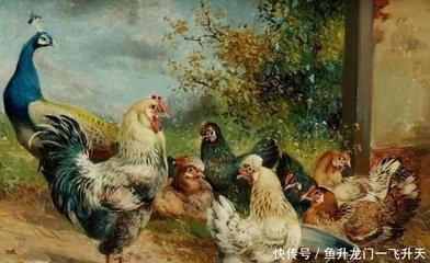 2025年属鸡的人去哪个方位求财最好