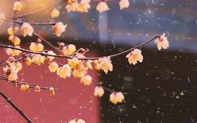 2025年农历二月初六适合提车吗