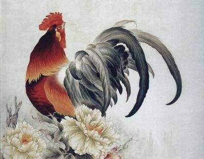 2025年属鸡的财运有什么变化 怎么提高财运