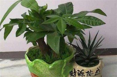 会发财的风水现象出现暗示你财运要来了