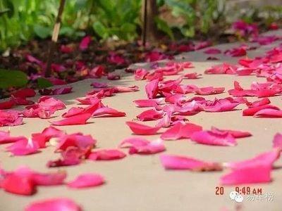 什么星座的男人最花心 千万别找这种花心男 什么星座的男人最花心 千万别找这种花心男