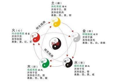 什么是“木型人” 木型人有哪些特点