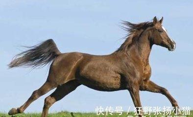 1985年4月29日中午11-13点出生性格、运势和命运 1985年4月29日中午11-13点出生性格、运势和命运