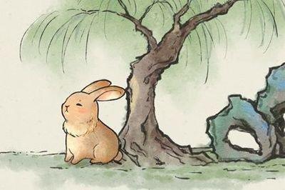 11年属兔人需要面对的人生三大坎 一定要注意