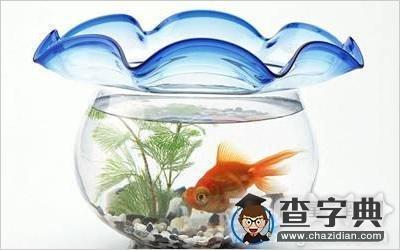 什么是五行生克学习风水命卦五行所属
