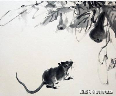 2025年属鼠是不是很倒霉 哪些方面最倒霉
